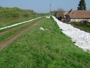 2006